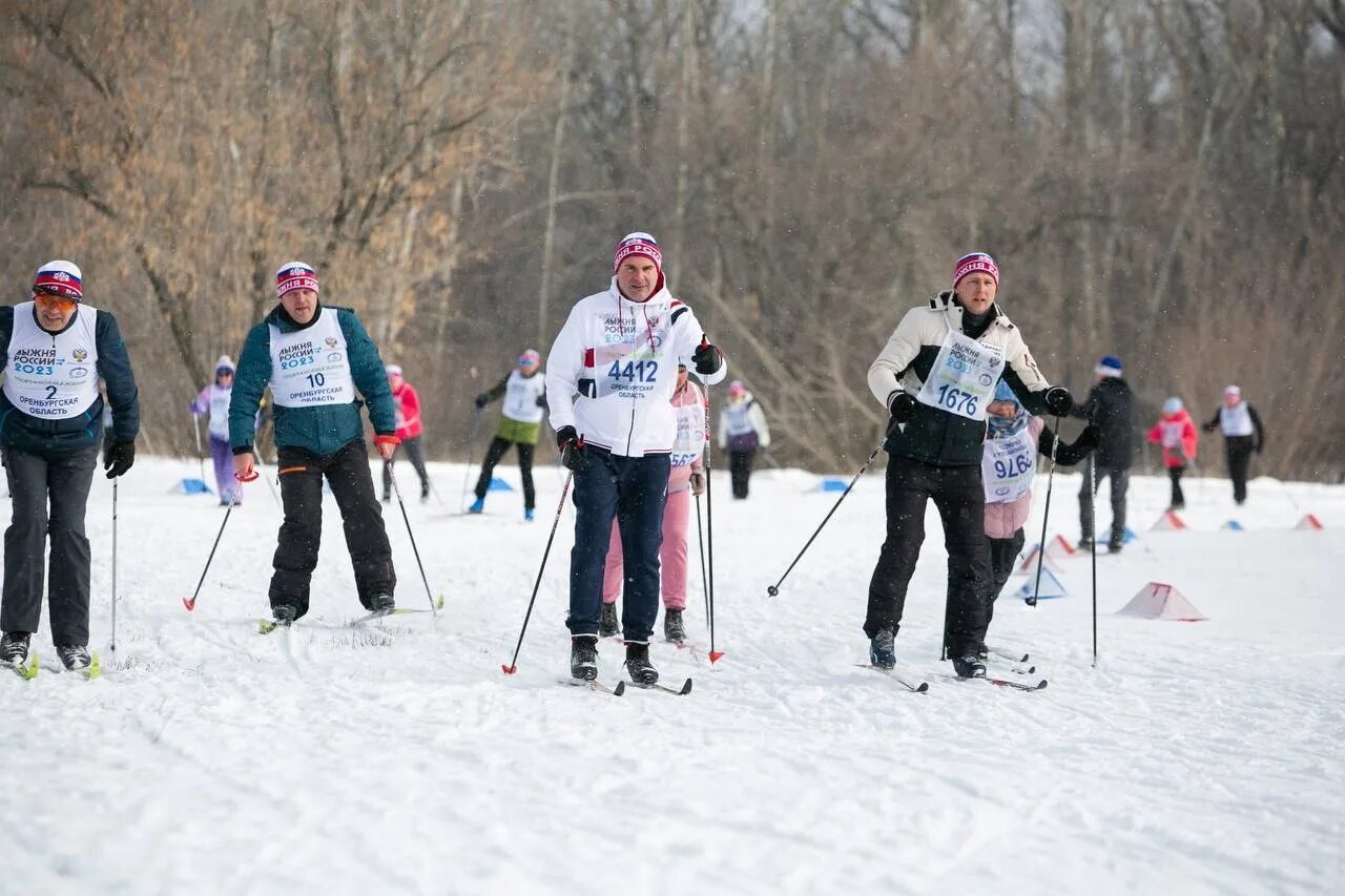 Лыжный спорт. Лыжный спорт в школе. Горнолыжный спорт. Лыжная база. Результаты лыжни россии