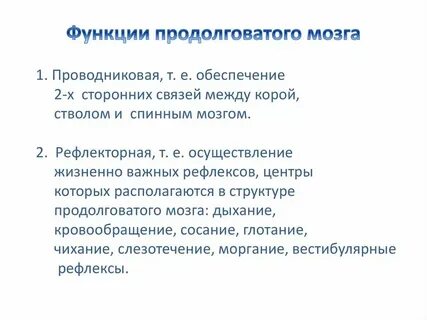 Проводниковая функция характерна для отдела головного мозга