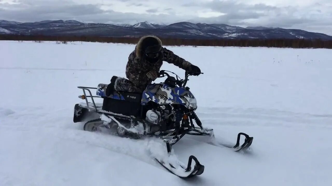 Купить снегоход 125. Снегоход Динго т125. Снегоход Irbis Dingo т125. Буран Динго 125. Снегоход 125 кубов Динго.