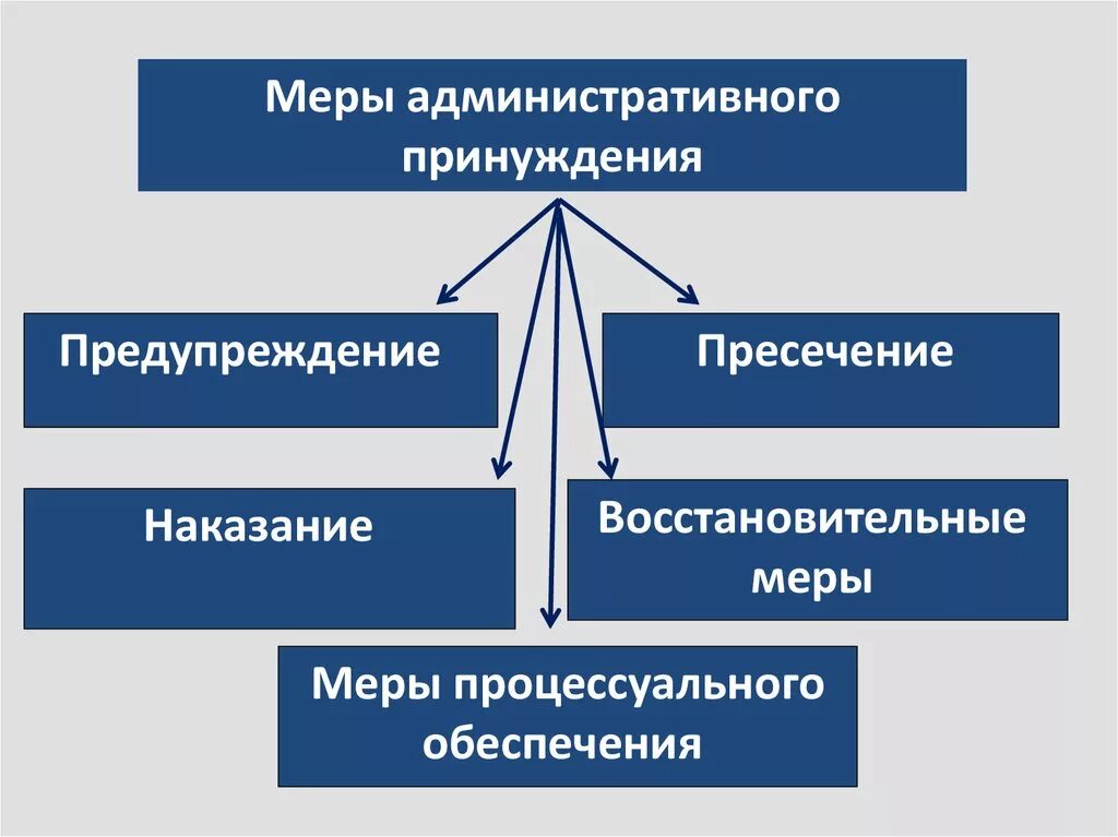 Меры административного принуждения схема. Меры административно-правового принуждения презентация. Система мер административного принуждения. Административное принуждение примеры.