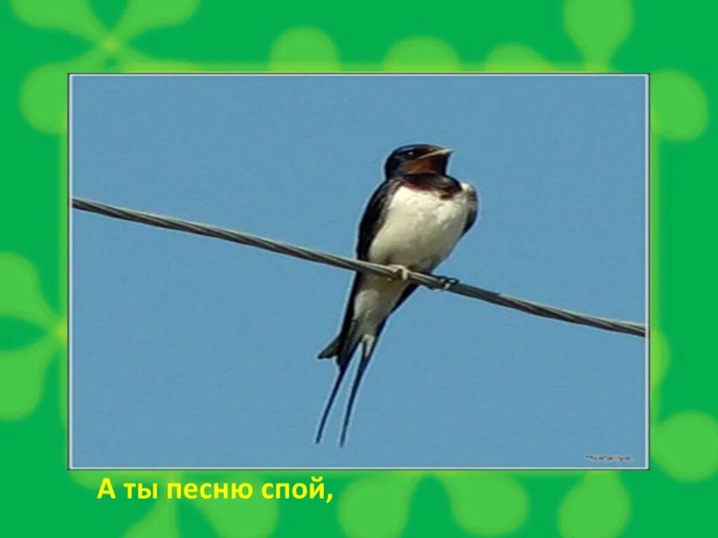 Хорошо спой песенку. Сельская песенка. Спой песню. Спой песенку. Картинка спой песню.