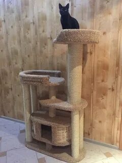 Горох кошкам