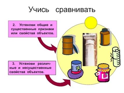 Общее свойство предметов это
