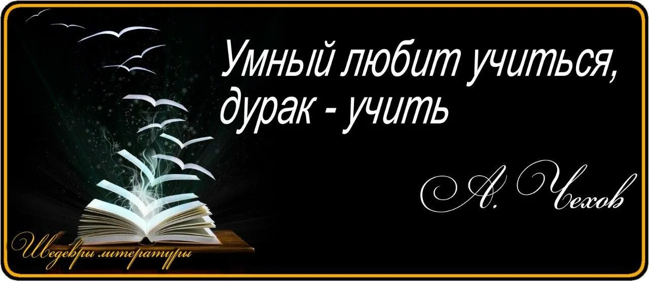 Живи учись любить. Умный любит учиться а дурак учить. Учить жизни других. Мудрый человек любит учиться а дурак учить. Учат как жить.