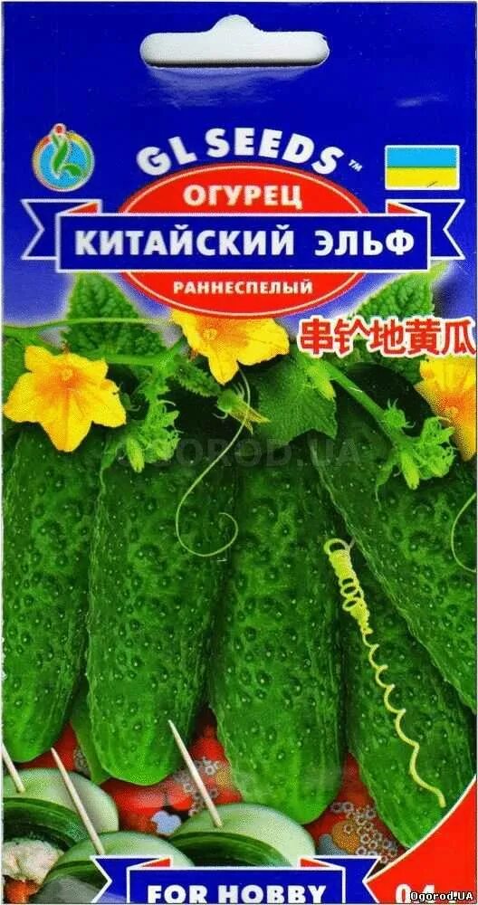 Китайский огурец. Семена китайских огурцов. Китайский огурец семена. Семена огурцов китайские длинные.