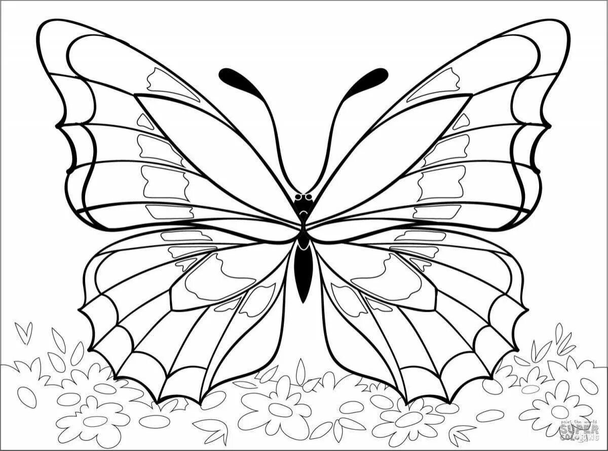 Раскраска "бабочки". Бабочка раскраска для детей. Раскраска для девочек бабочки. Детские раскраски бабочки. Бабочки раскраски для детей 5 6 лет