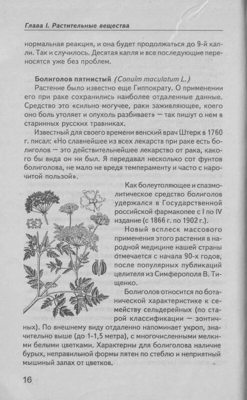 Болиголов отзывы врачей. Трава от онкологии болиголов. Схема питья болиголова. Болиголова настойка схема. Схема применения болиголова.