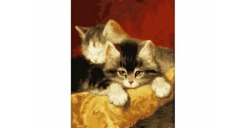 Котики 24