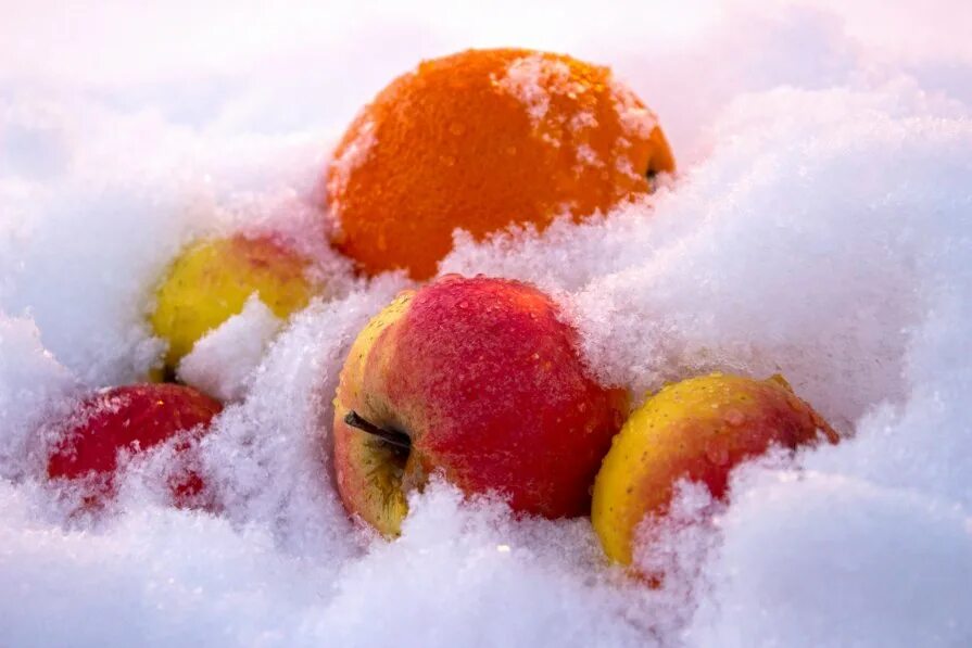 ягоды в снегу. мандарины на снегу. новогодний мандарин. ягоды в снегу. яблоки зимой.