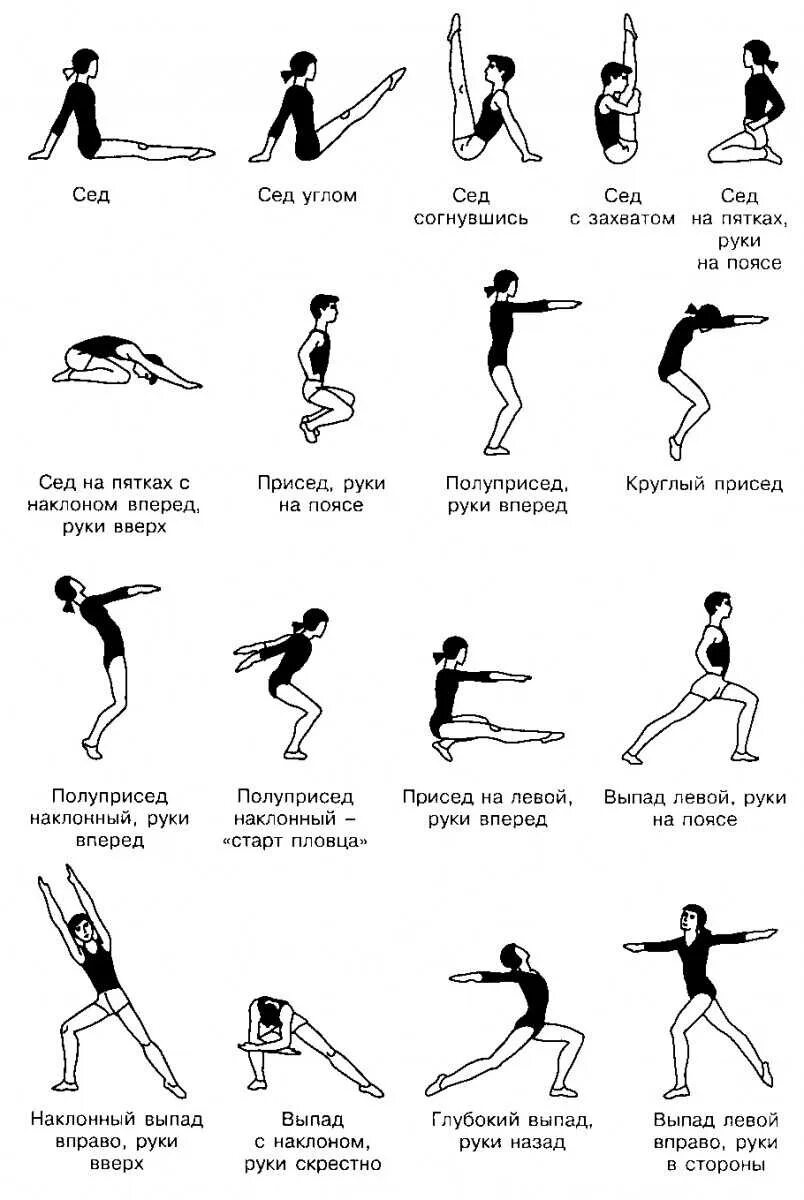 Гимнастическая терминология общеразвивающих упражнений. Физические упражнения на гибкость. Виды упражнений. Физические упражнения э. Физические упражнения.