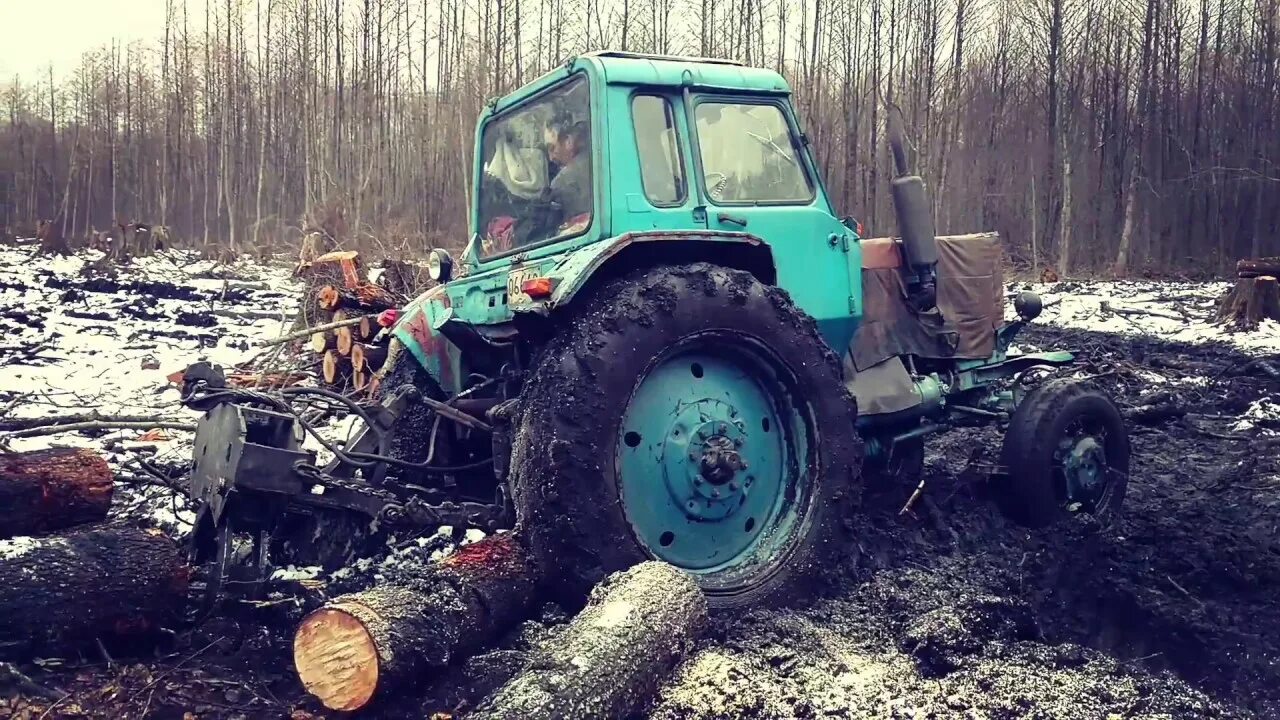 Работа мтз видео. Трактор МТЗ 80 В лесу. Трактор МТЗ 82 трелевка леса. Трактор МТЗ 82 лес. МТЗ 82 трелюет лес.