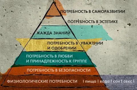 Мои потребности в саморазвитии