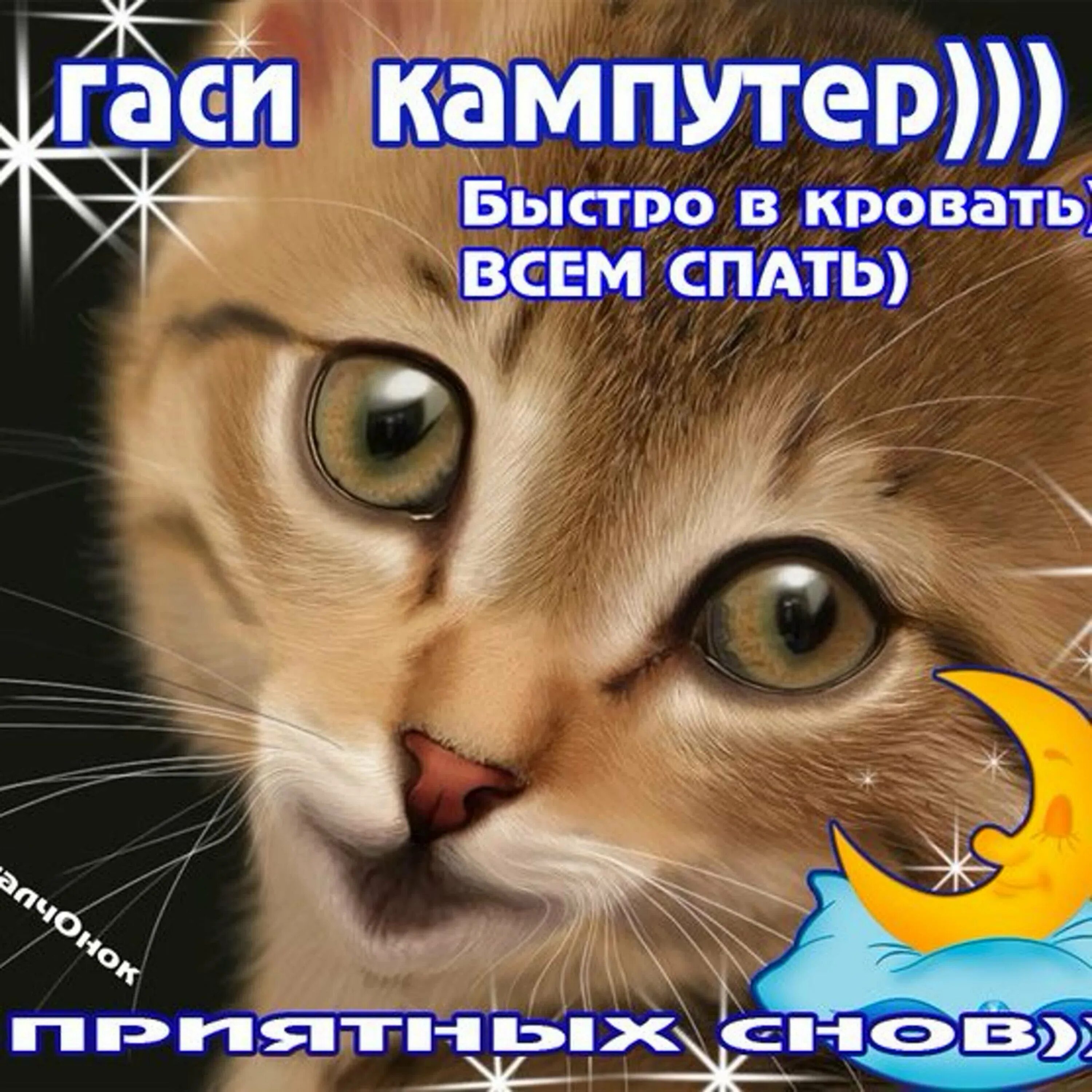 Включи пошли спать. Включи пошли спать. Спокойной ночи иди спать. Включи пошли спать. Включи пошли спать.