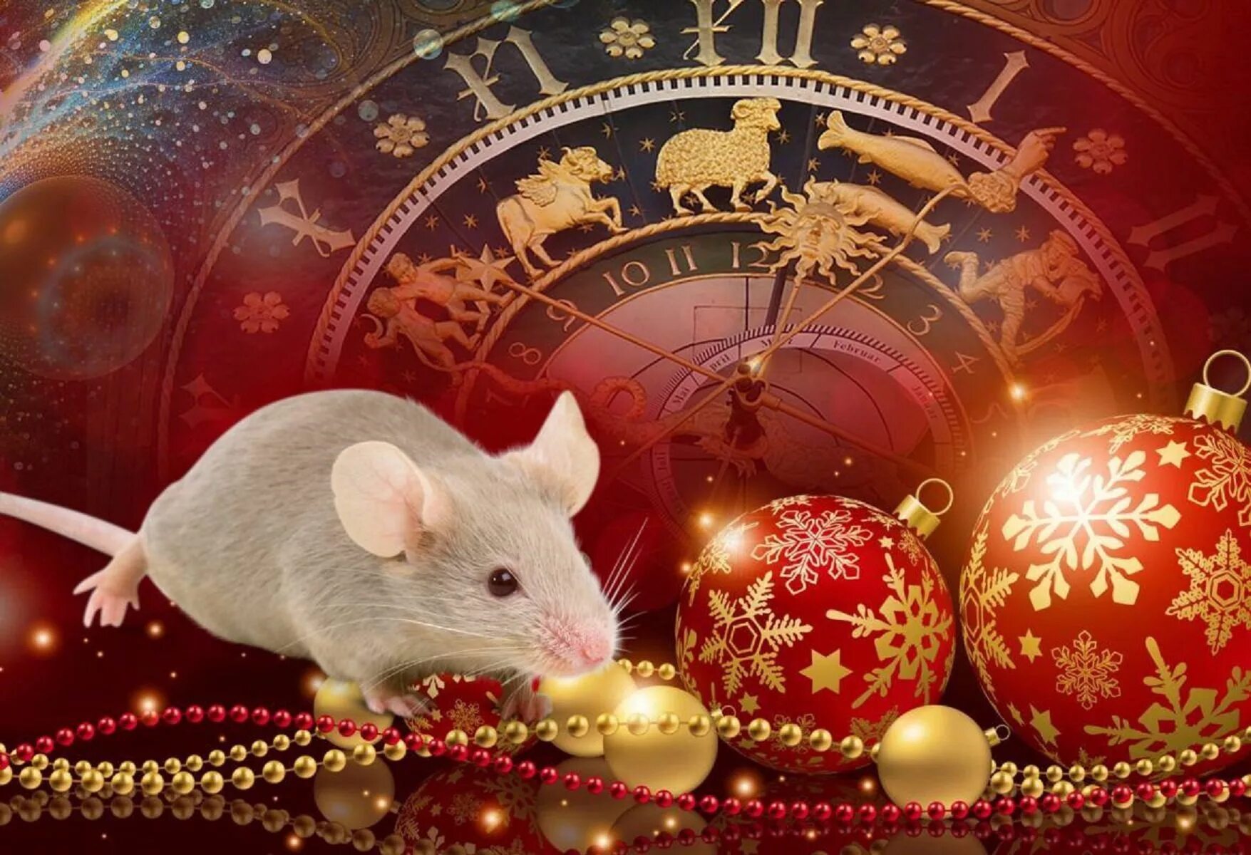 Новый год 2020 варианты. Новогодняя мышка. 2020 Год крысы. Новый год 2020. Новогодняя крыса.