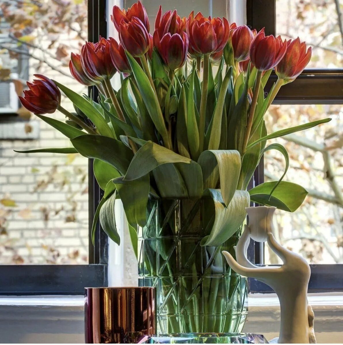 Как хранить тюльпаны дома. Выгонка тюльпанов. Тюльпаны в стеклянной вазе. Иерусалимский тюльпан горшечный. Тюльпаны растут в вазе.