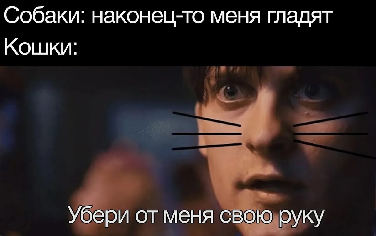 Трогай меня если хочешь. Трогай меня если хочешь