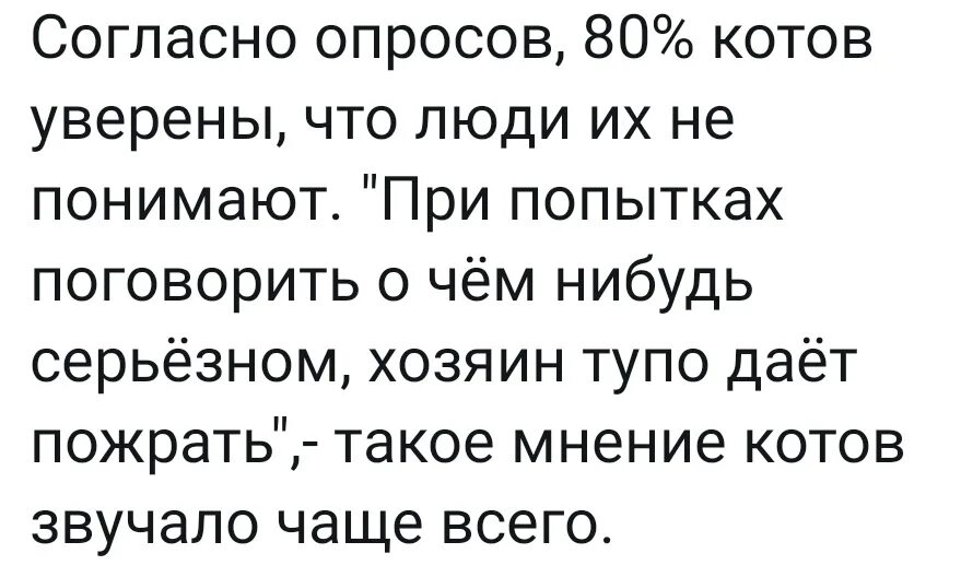 Глупый хозяин. Согласно опросам 80 котов уверены. Согласно опросам 80 котов уверены что люди их не понимают. Согласно опросу. Такое мнение среди котов звучало чаще всего.