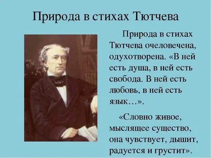 Тест по стихам тютчева 6 класс