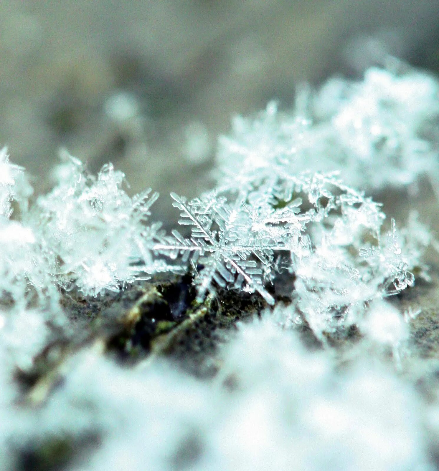 пушистый снег. красивый снегопад. падающий снег. крупные хлопья снега. падающий снег.