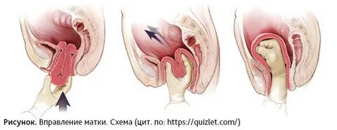 Порно хатшы есеп беріп жатқан