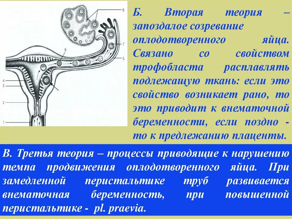 Риск внематочной беременности. Внематочная беременность оказание неотложной помощи. Неотложная помощь при внематочной беременности. Внематочная беременность алгоритм оказания неотложной помощи. Внематочная беременность доврачебная помощь.