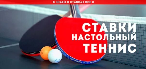 Настольный теннис букмекерская. Настольный теннис ставки. Прогноз ставок на настольный теннис. Как работает настольный теннис в ставках. Брифы на настольный теннис ставки.