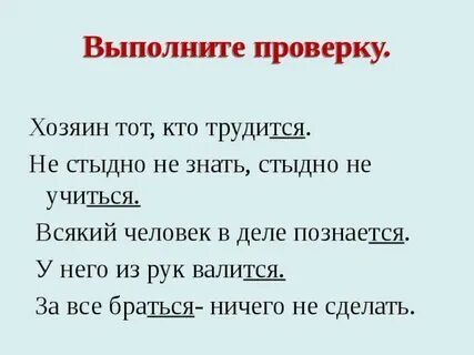 Русский язык стыдно не знать