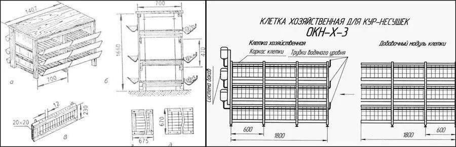 Размеры клеток для кур несушек чертежи. Клетка для несушек с яйцесборником чертеж. Чертеж клетки для курицы несушки. Размеры клеток для бройлеров чертежи.