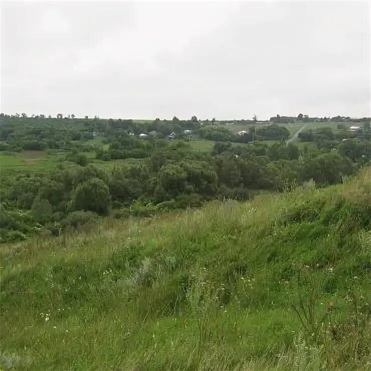 Ястребовка мантуровский. Погода в куськино мантуровского. Погода в куськино мантуровского. Село куськино курская область. Погода в куськино мантуровского.