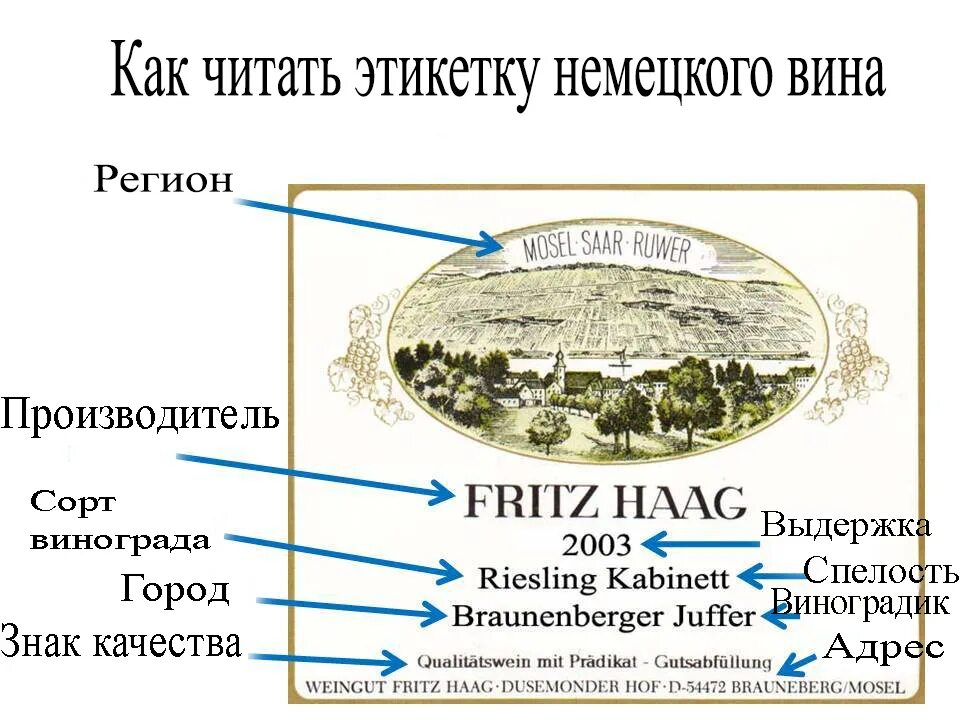 Расшифровка винной этикетки. Как читать этикетку итальянского вина. Чтение этикетки вина. Чтение этикетки французских вин. Как читать этикетки