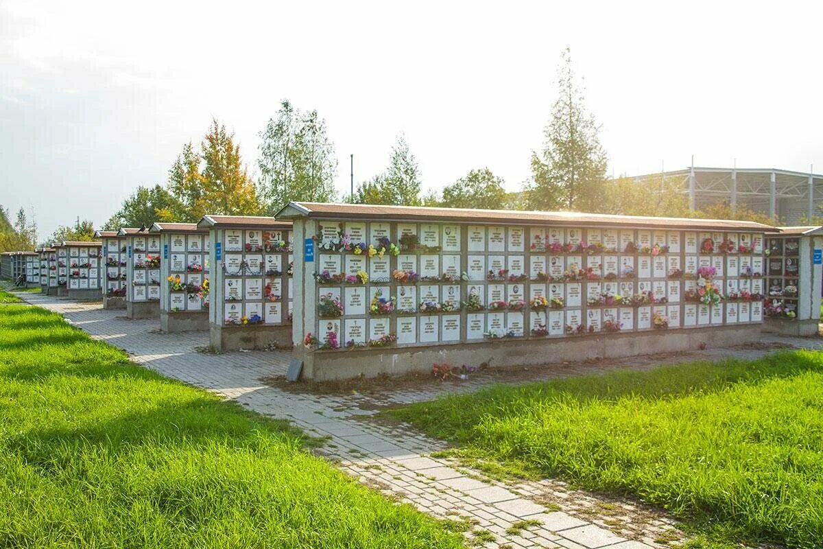 В культурной столице обнаружили мешок с человеческими костями - Обсуждение стать