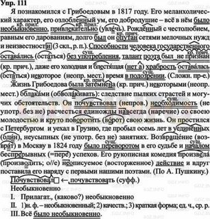 Русский 8 упр 111