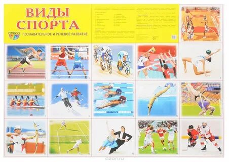 Спорт виды