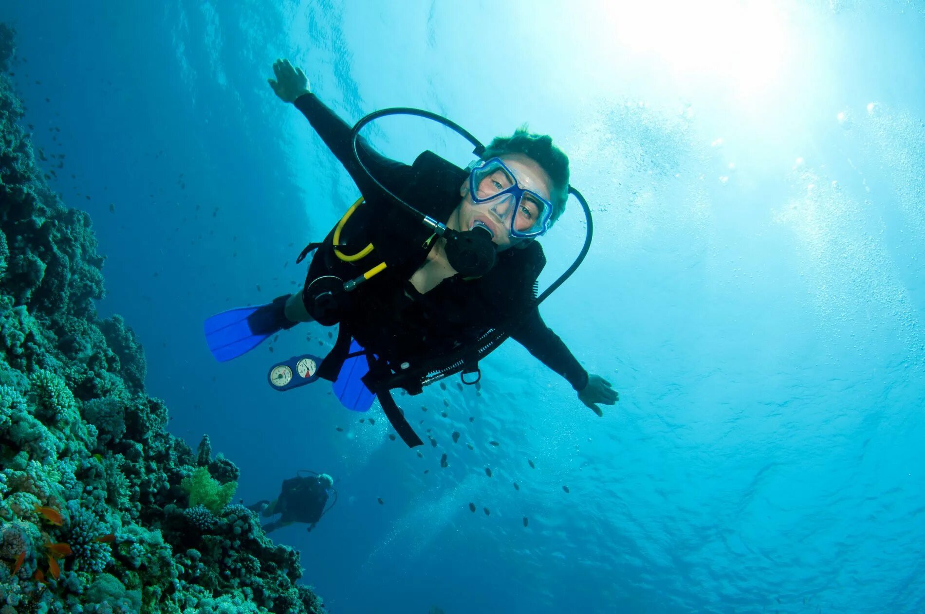 Sea dive. Скуба дайвинг. Дайвинг Scuba. Скуба акваланг. Скуба-дайвинг, Scuba-Diving погружение.