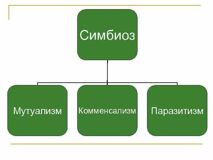 Формы симбиотических отношений. Симбиоз схема. Формы симбиоза. Симбиоз виды взаимоотношений. Виды симбиоза.