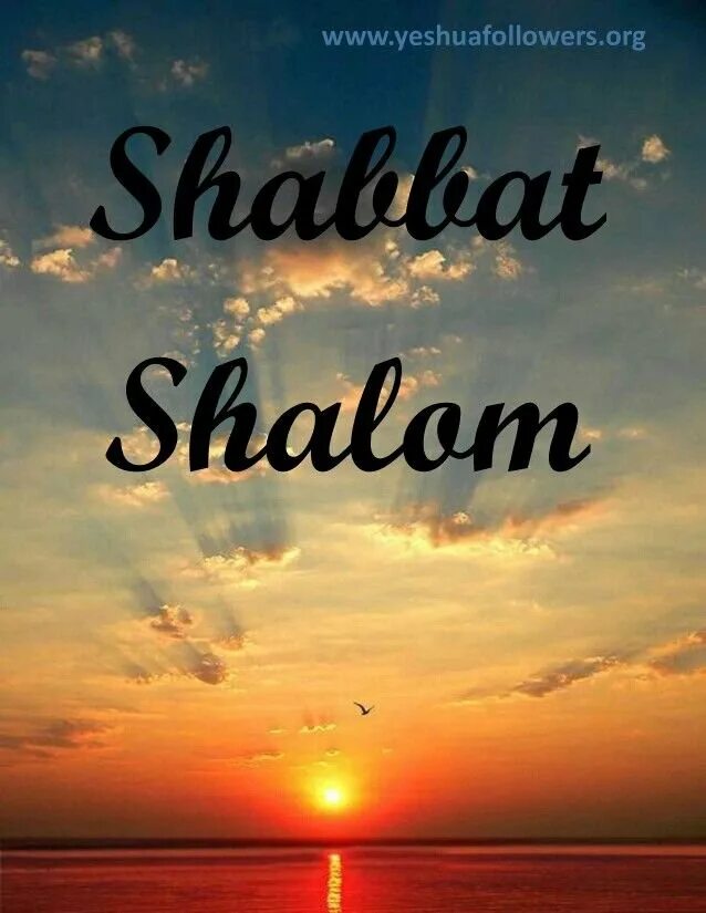 Shabbat shalom. Еврейские поздравления с субботой. Открытки шаббат шалом. Шабат шалом. Шаббат шалом.