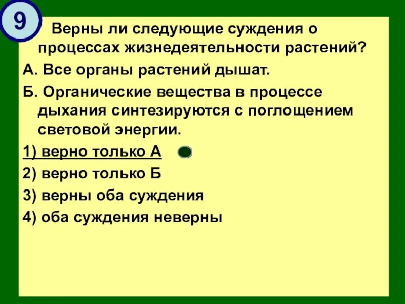 Верные суждения о судопроизводстве в рф. Верны ли следующие суждения о процессах роста растений. Верно ли следующее суждение о процессах жизнедеятельности растений. Верны ли следующие суждения о процессах жизнедеятельности растений. Суждения о процессах жизнедеятельности растений.