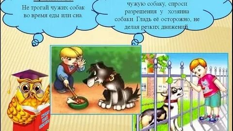 Манга не трогай собаку 12 глава