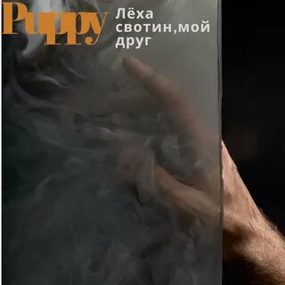 Леха свотин