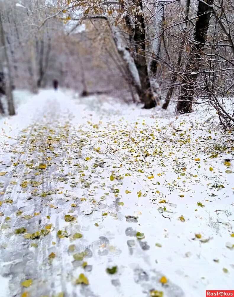 Метель в москве. Зранку беларусь прысыпала сняжком. Зранку беларусь прысыпала сняжком. Зранку беларусь прысыпала сняжком. Хавьер циклон в беларуси.