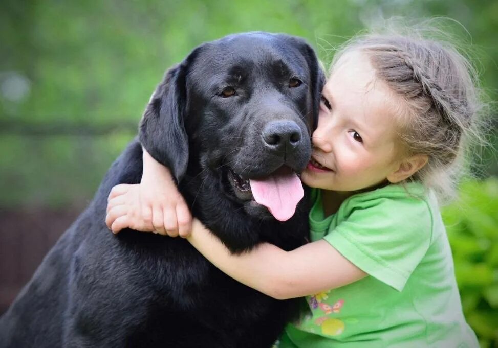 Ребенок обнимает собаку. Собака для детей. Девочка с собакой. Немецкая овчарка девочка. Девочка с собакой.