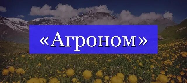 Агроном предложение. Агроном разбор. Предложение со словом агроном. Профессии связанные с агрономом. Агроном корень слова и окончание.