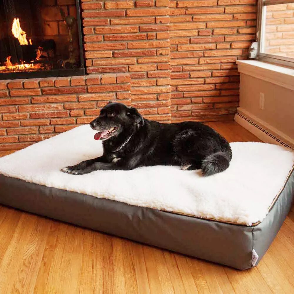 Собачья кровать для человека. Лежанка для собак. Лежанки для больших собак. Лежанка для большой собаки. Лежак для крупной собаки.