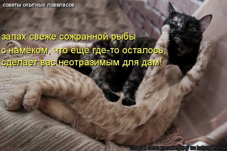я скажу вам не в обиду пусть. анекдоты с иронией. хьай де т1ен дал хьун кхахьп. апатяпатя. приколы про запахи и вкусы.