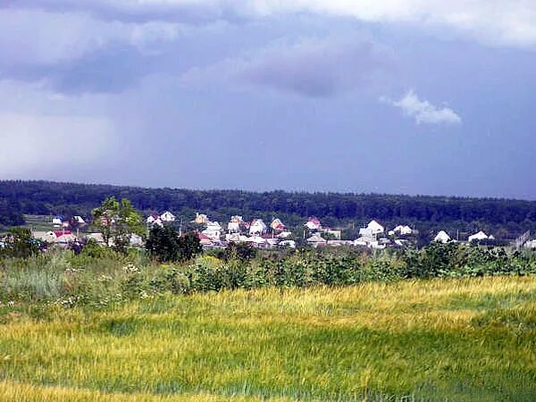 воронежская область аннинский р н. церковь аннинского района. природа аннинского района воронежской области. мосоловка аннинского района. васильевка (аннинский район).