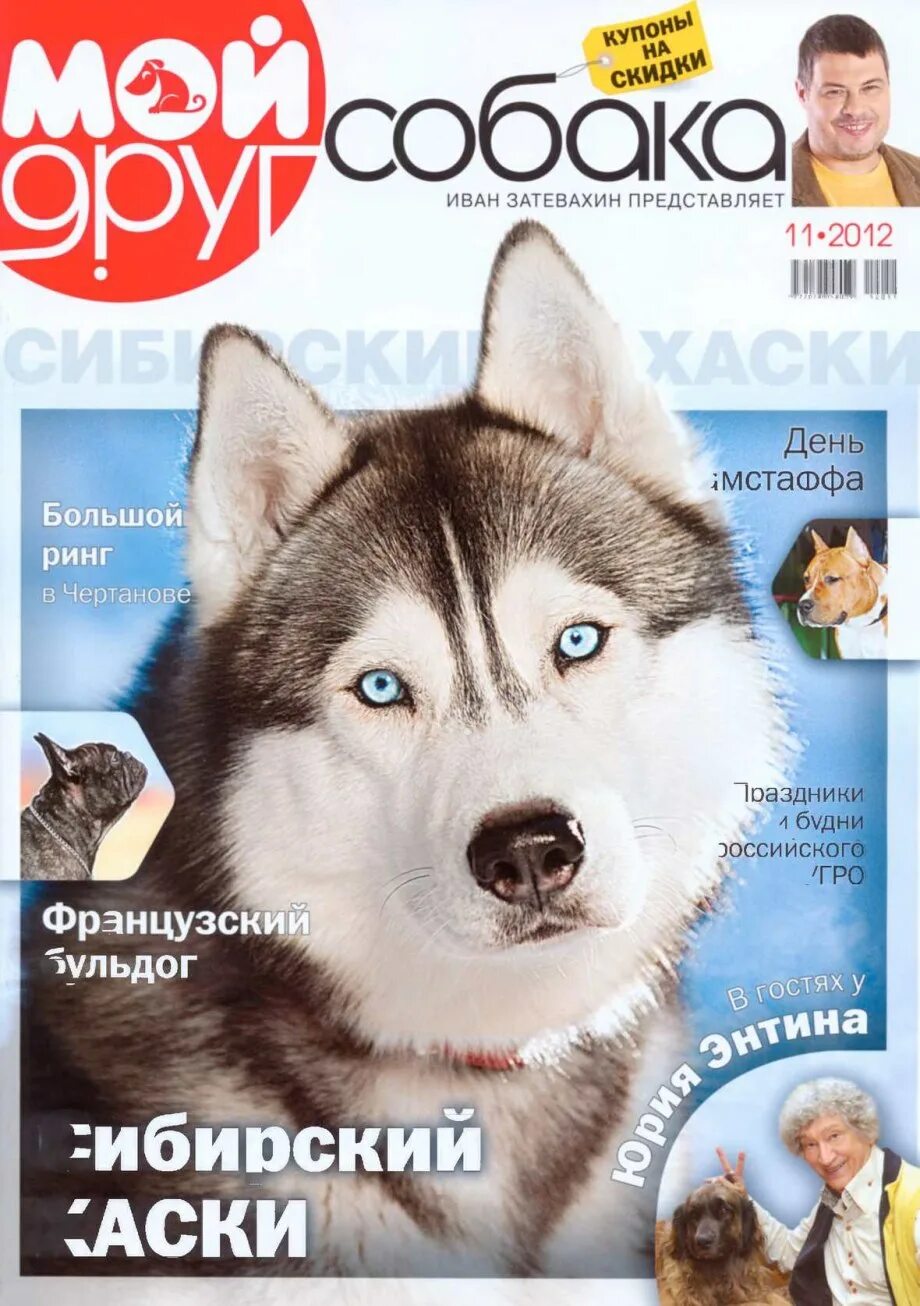 Сайт журнала друг. Журнал собака. Детские журналы про собак. Друг собак журнал. Обложка журнала собака.