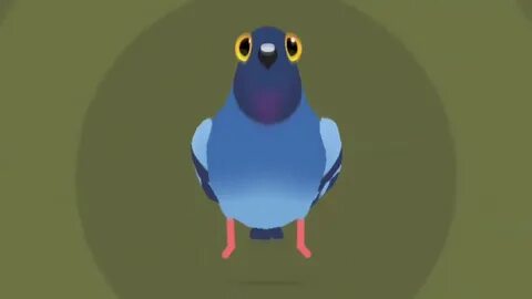 Pigeon pop