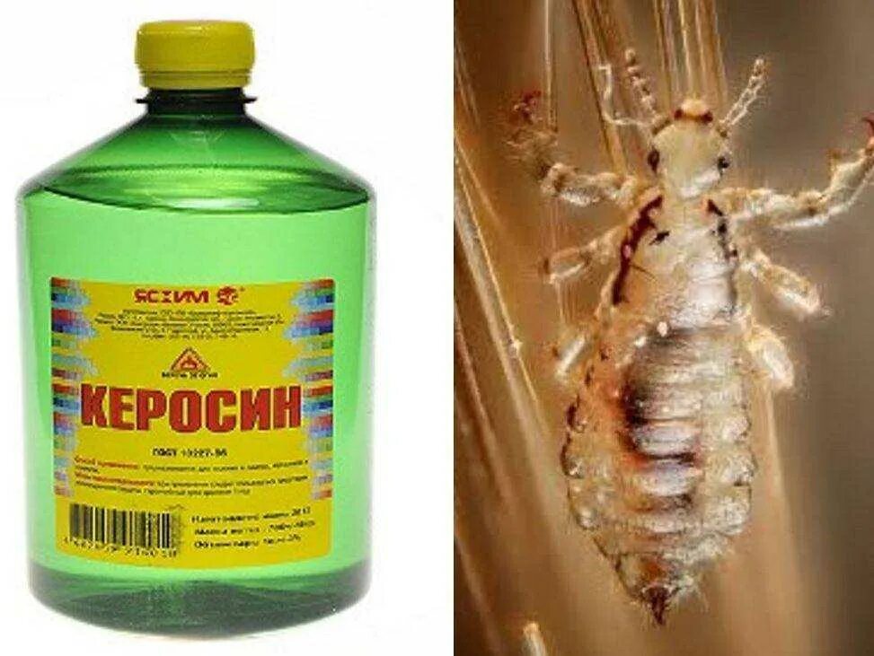 Можно ли обрабатывать от блох дихлофосом
