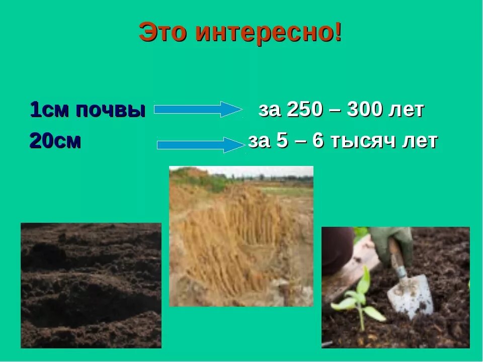 Почва быстрый ответ. Почва состав почвы 3 класс окружающий мир. почва презентация. презентация на тему почва. презентация на тему что такое почва 3 класс.