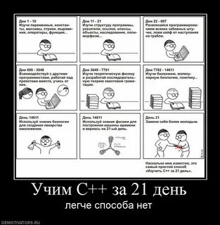 За сколько дней можно выучить